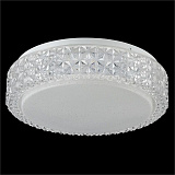 Светильник  настенно-потолочный светодиодный Freya FR6309-CL01-12W-W