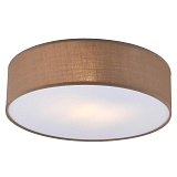 Светильник потолочный Hiper H150-2