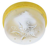 Светильник потолочный Horoz 400-221-100