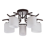 Люстра потолочная IMEX MD.2441-5-S BR+CH