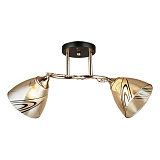 Люстра потолочная IMEX MD.4077-2-S FGD+BK