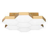 Светильник потолочный светодиодный Lightstar 750071