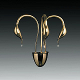 Светильник настенный Lightstar 751632