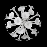 Светильник настенный Lightstar 891656