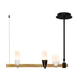 Люстра подвесная светодиодная Loft IT 1028-3BL