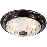 Светильник накладный Lucia Tucci Lugo 142.2 R30 Brown