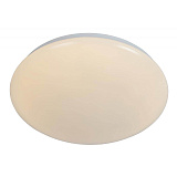 Светильник накладный светодиодный Lucide 79164/13/61