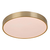 Светильник потолочный светодиодный Lucide 79184/24/02