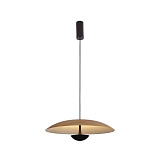 Светильник подвесной светодиодный Lumien Hall 8007/1PL-WD