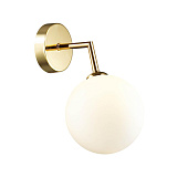 Светильник настенный Lumion 4418/1W