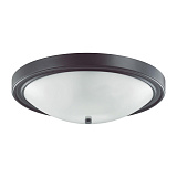 Светильник настенно-потолочный Lumion 5260/4C