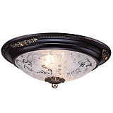 Светильник накладный Maytoni C907-CL-02-R