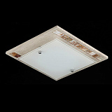 Светильник настенно-потолочный Maytoni CL810-01-W