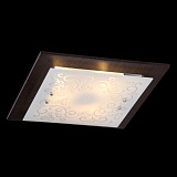 Светильник потолочный Maytoni CL811-03-R