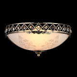 Светильник потолочный Maytoni CL914-01-R