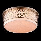 Светильник потолочный Maytoni H260-05-N