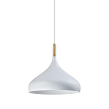 Светильник подвесной Moderli V1300-1P