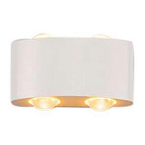 Светильник настенный светодиодный Moderli V1880-WL