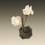 Светильник настенный Odeon Light 1372/2W