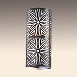 Светильник настенный Odeon Light 2501/2W