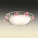 Светильник потолочный Odeon Light 2585/3