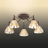 Люстра потолочная Odeon Light 2625/5C
