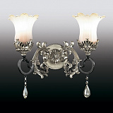 Светильник настенный Odeon Light 2801/2W