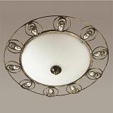 Светильник  настенно-потолочный Odeon Light 3484/2C