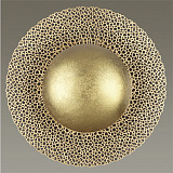 Светильник  настенно-потолочный светодиодный Odeon Light 3559/18L