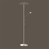 Торшер декоративный светодиодный Odeon Light 3995/20FL