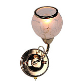 Светильник настенный Omnilux OML-36711-01