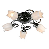 Люстра потолочная Omnilux OML-39707-05