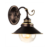 Светильник настенный Omnilux OML-50401-01