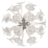 Светильник  настенно-потолочный Osgona 891656