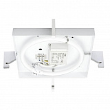 Светильник настенно-потолочный Paulmann 70047