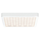 Светильник потолочный светодиодный Paulmann 70690