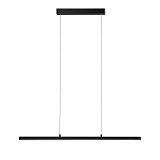 Светильник подвесной светодиодный Paulmann 79694