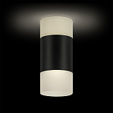 Светильник потолочный светодиодный Ritter 52066 5