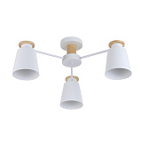 Люстра потолочная Rivoli 9112-303