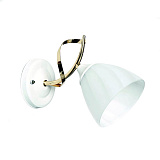 Светильник настенный Seven Fires 65631.02.10.01