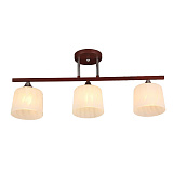 Светильник потолочный Seven Fires 65771.01.12.03C