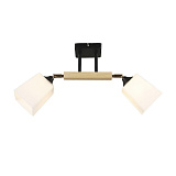 Светильник потолочный Seven Fires 66770.01.86.02