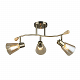 Светильник настенный Seven Fires 66775.01.05.03