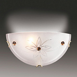 Светильник настенный Sonex 049