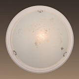 Светильник настенный потолочный Sonex 101