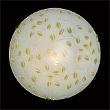 Светильник  настенно-потолочный Sonex 123/K