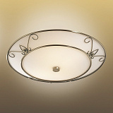 Светильник настенно-потолочный Sonex 2163