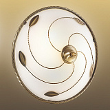 Светильник потолочный Sonex 2213