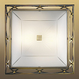 Светильник настенно-потолочный Sonex 2261