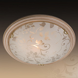 Светильник настенный потолочный Sonex 256